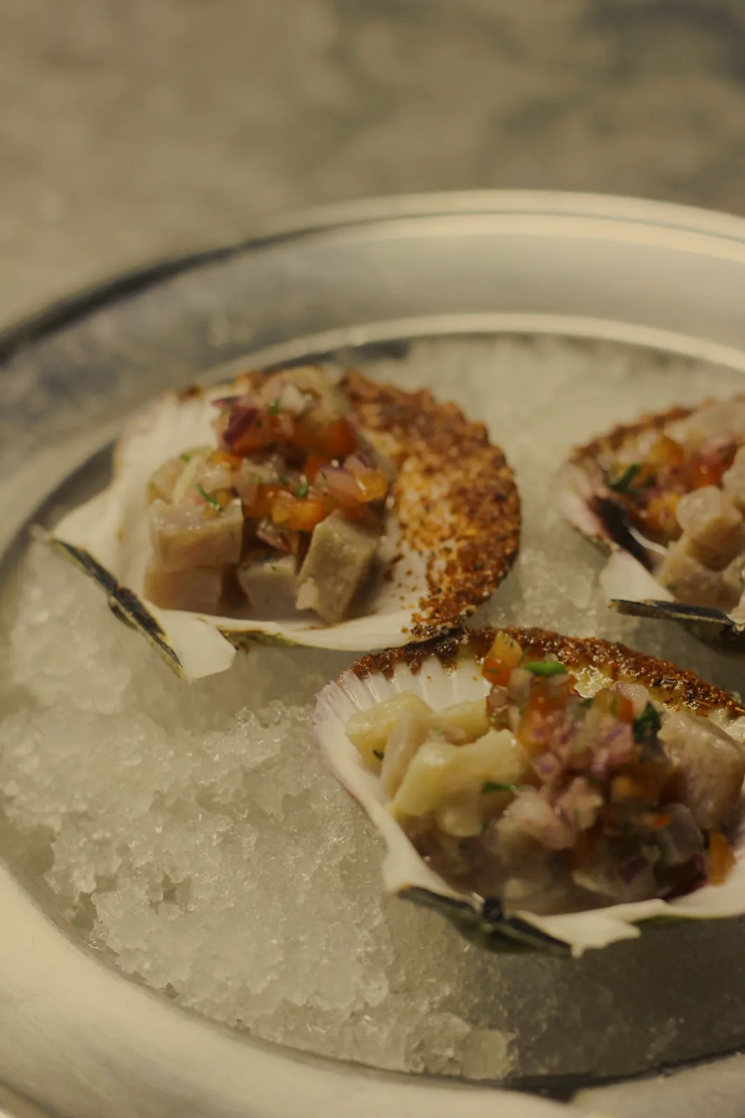 Ceviche servido en concha sobre hielo