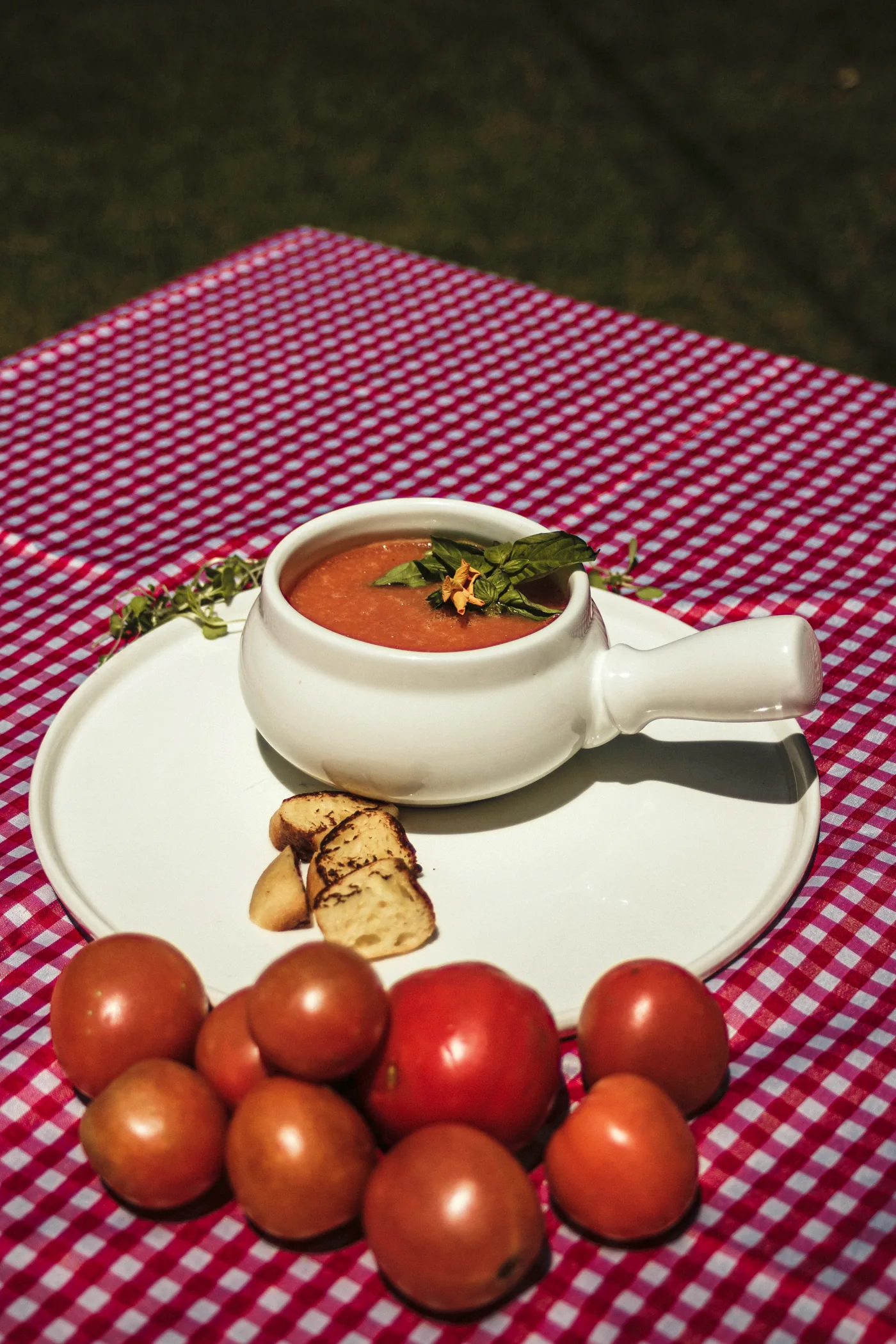 Crema de tomate con croutons y brotes de rúgula
